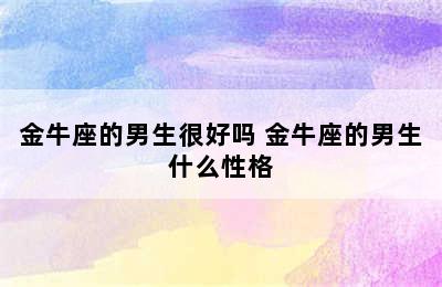 金牛座的男生很好吗 金牛座的男生什么性格